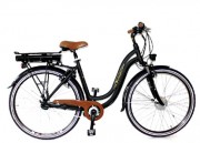 E-Bike: Kalkhoff / Raleigh /Qwic